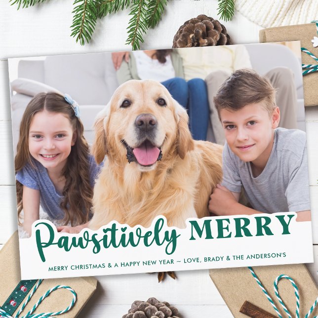 Postal Festiva Foto de Mascota personalizada de Dog Patéticamente (Subido por el creador)
