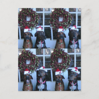Postal Festiva Foto de navidades para estudiantes
