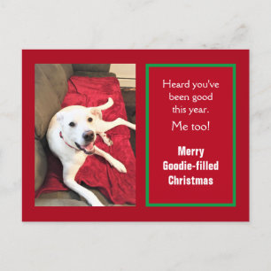 Postal Festiva Foto de Navidades rojos de perro blanco sonrientes