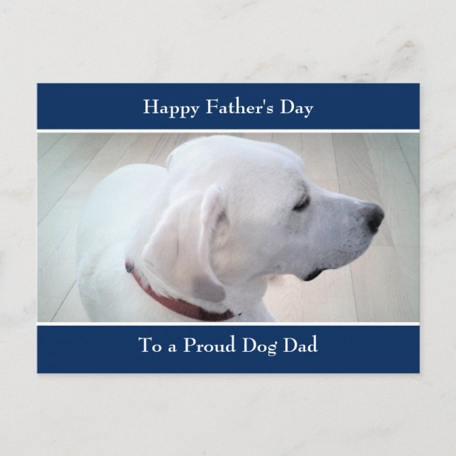 Postal Festiva Foto de perfil de mezcla de Labrador blanco recupe (Anverso)