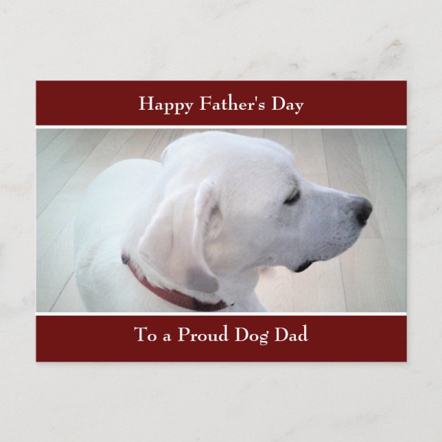 Postal Festiva Foto de perfil de mezcla de Labrador blanco recupe (Anverso)