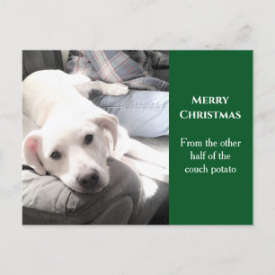 Postal Festiva Foto de perro blanco lindo con papá Navidades verd