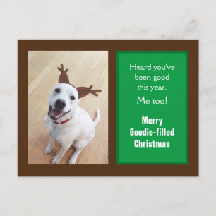 Postal Festiva Foto de perro de cachorro de reno blanco sonriente