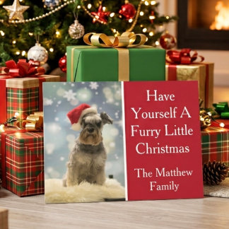 Postal Festiva Foto de perro familiar navideño peludo