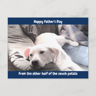 Postal Festiva Foto de perro perezoso blanco lindo con el mejor a