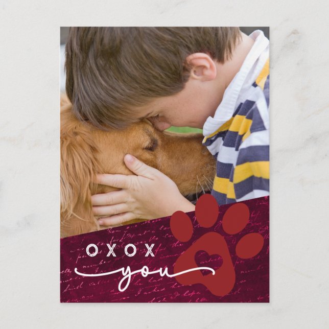 Postal Festiva Foto de Personalizado de Mascota de San Valentín e (Anverso)