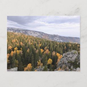 Postal Festiva foto de un bosque montañoso otoñal, montañas,