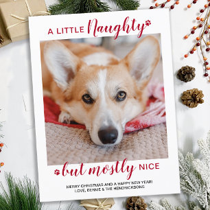 Postal Festiva Foto de un pequeño Mascota de perro personalizado