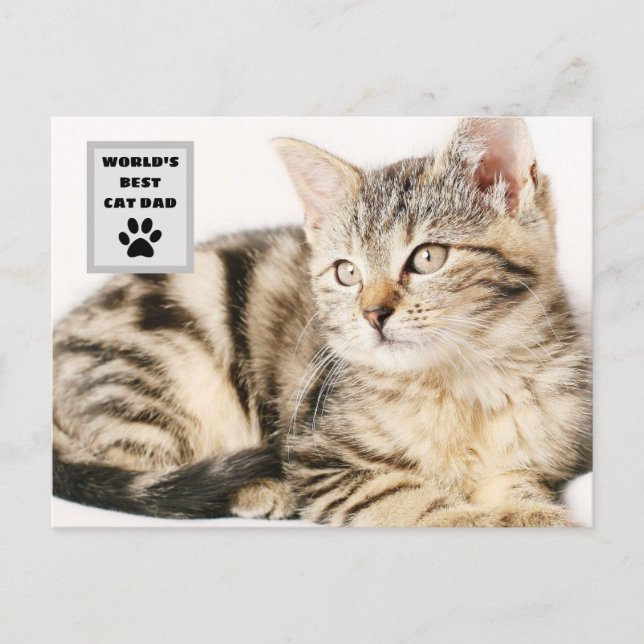 Postal Festiva Foto del mejor Personalizado de papá gato del mund (Anverso)