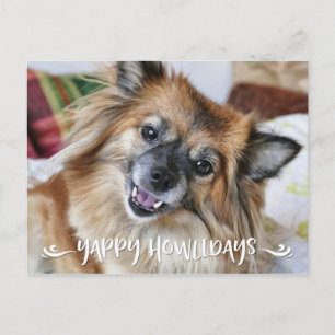 Postal Festiva Foto divertida YAPPY del perro de HOWLIDAYS el