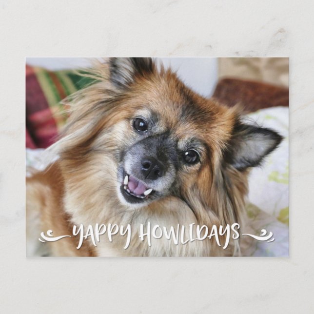 Postal Festiva Foto divertida YAPPY del perro de HOWLIDAYS el | (Anverso)