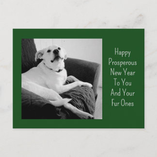 Postal Festiva Foto en blanco y negro de Año Nuevo de perro verde
