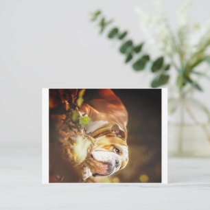 Postal Festiva Foto forestal del Bulldog inglés