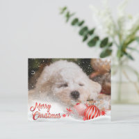 Foto: Merry Christmas Snow Overlay Budget
