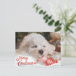 Postal Festiva Foto: Merry Christmas Snow Overlay Budget