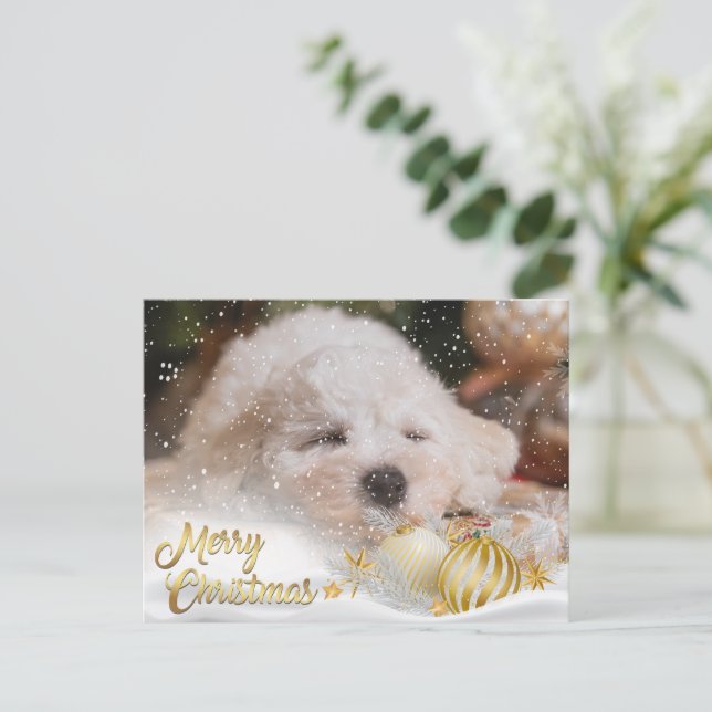 Postal Festiva Foto Merry Christmas Snow Overlay Budget Gold (Anverso de pie)