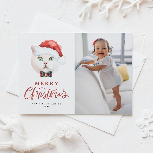 Postal Festiva Foto navideña del gato británico de Shorthair Red  (Subido por el creador)