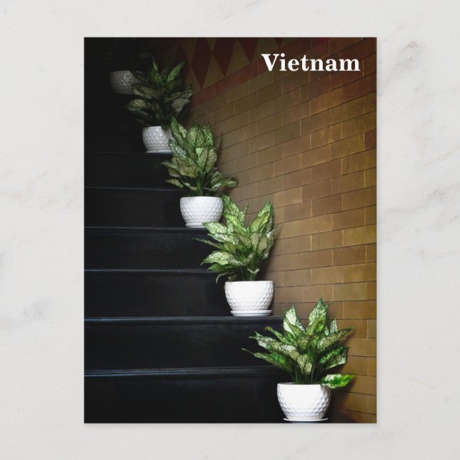 Postal Festiva Fotografía callejera en Vietnam, Asia (Anverso)