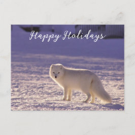 Postal Festiva Fotografía de invierno de la nieve de Fox blanca