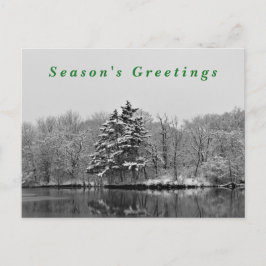 Postal Festiva Fotografía de la Nieve Blanca y Negra de Winter Wo