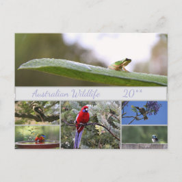 Postal Festiva Fotografía de vida salvaje de Australia