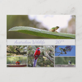Postal Festiva Fotografía de vida salvaje de Australia