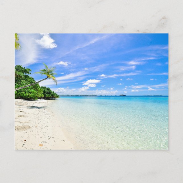 Postal Festiva Fotografía paisajística de árboles en la costa (Anverso)