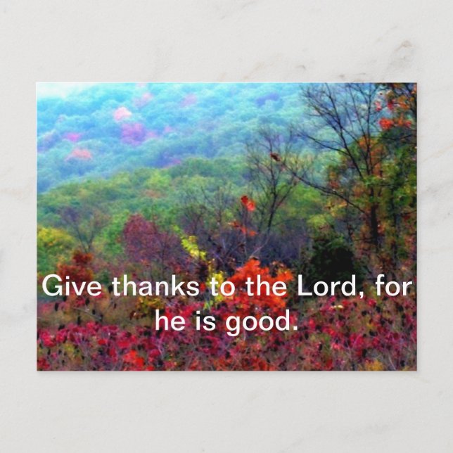 Postal Festiva Fotos del Día de Acción de Gracias de otoño (Anverso)