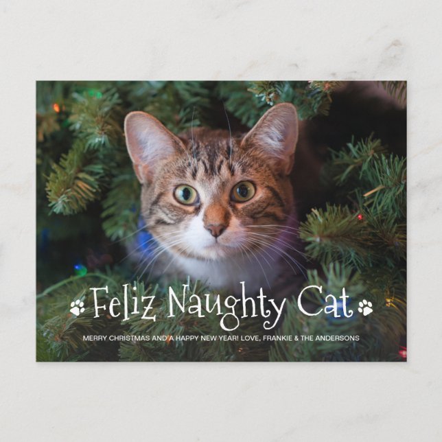 Postal Festiva Fotos Mascotas personalizadas de Feliz Gato (Anverso)
