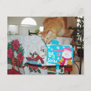Postal Festiva Frank&Leo: ¡Él está aquí! ¿Santa? ¡No, el gato!