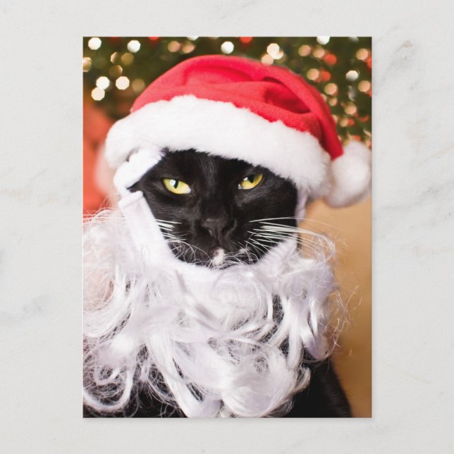 Postal Festiva Franny Claus Sad Santa Kitty (Anverso)
