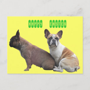 Postal Festiva Französische Bulldogge Postkarte