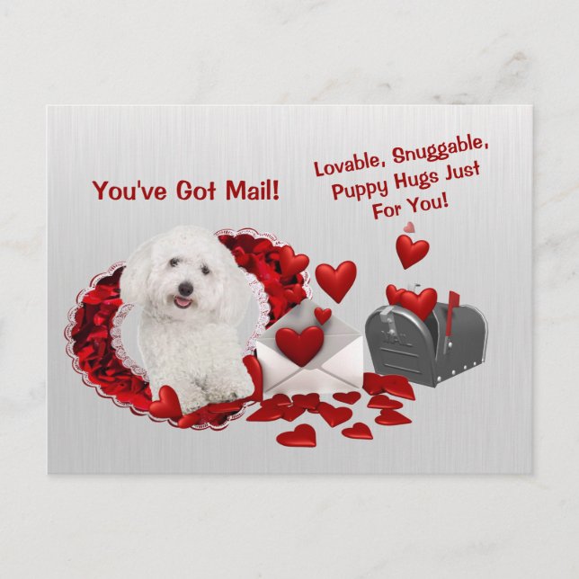 Postal Festiva Frisa Bichon Tienes Correos Abrazos Valentine (Anverso)