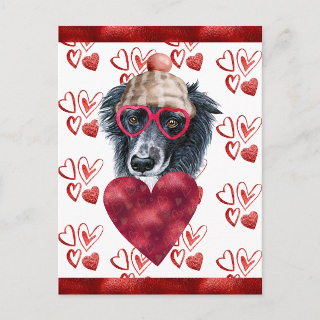 Postal Festiva Frontera Collie Hearts Perro Lover Valentine Gift (Anverso)