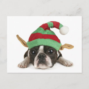 Postal Festiva Funny Elf Postcard