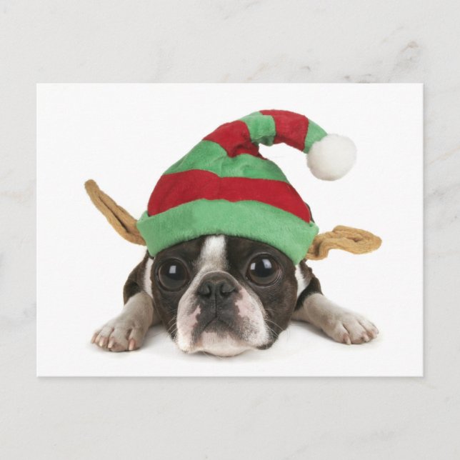 Postal Festiva Funny Elf Postcard (Anverso)