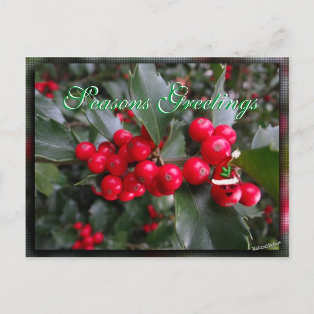 Postal Festiva Funny Holly Postcard-personalizar (Anverso)