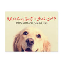 Funny Mascota Dog Holiday | Saludo fotográfico