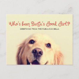 Postal Festiva Funny Mascota Dog Holiday | Saludo fotográfico