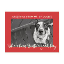 Funny Mascota Dog Holiday | Saludo fotográfico