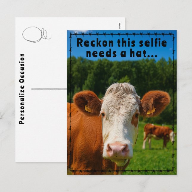 Postal Festiva Funny Western Cow Selfie Joke Ranch & Farm Style (Anverso / Reverso)