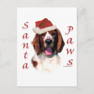 Postal Festiva Gales Springer Spaniel Santa Paws
