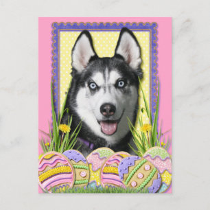 Postal Festiva Galletas del huevo de Pascua - husky siberiano