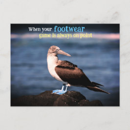 Postal Festiva Gannet de pie azul