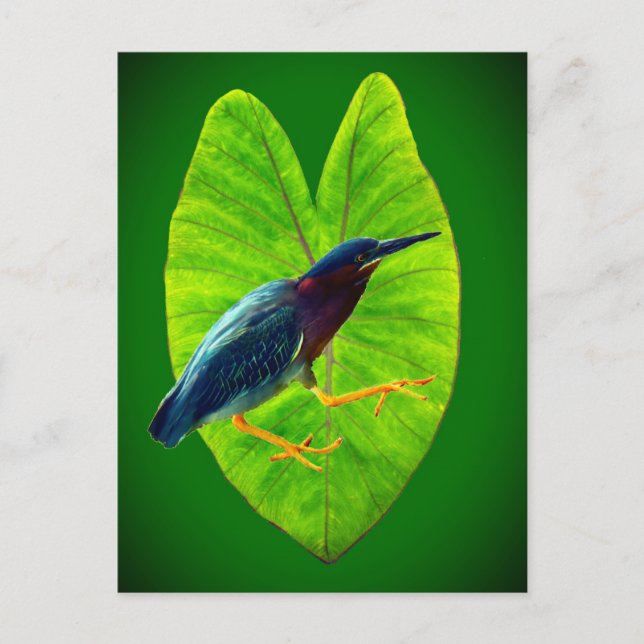 Postal Festiva Garza verde (Anverso)