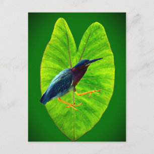 Postal Festiva Garza verde