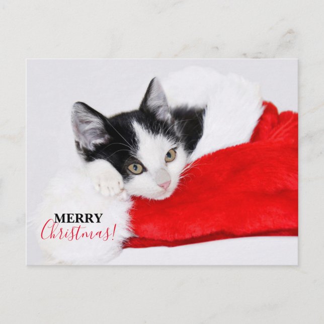 Postal Festiva Gatito Adorable con Gorro de Santa (Anverso)