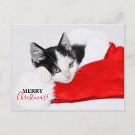 Postal Festiva Gatito Adorable con Sombrero de Santa