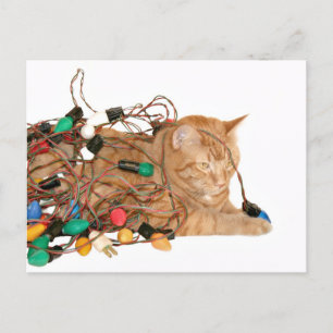 Postal Festiva Gatito de Navidades enredados