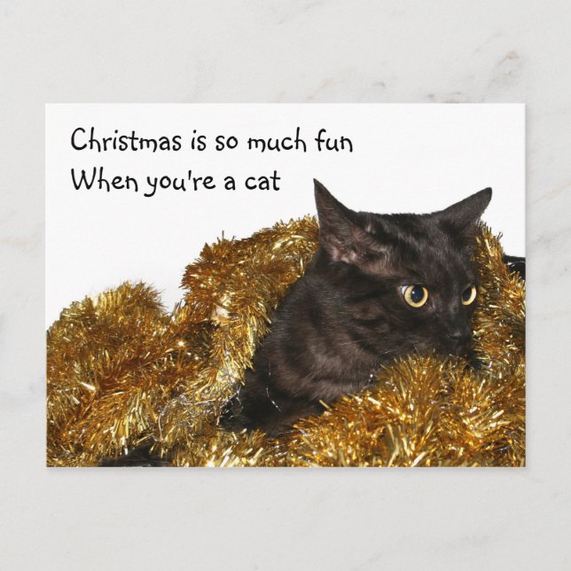 Postal Festiva Gatito de Navidades negros (Anverso)